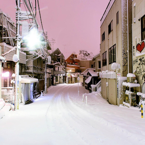 论文高端小蛇导航
