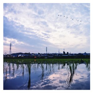 论文高端小蛇导航
